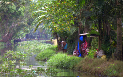 The Malayalam Language